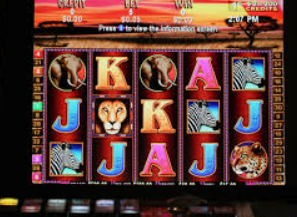 球速体育welcome电脑免费版