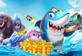 球速体育welcome免费版